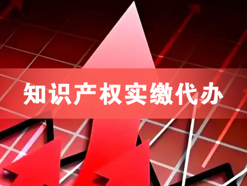 乐山知识产权实缴资本代办